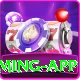 3kvip VIP Gaming App