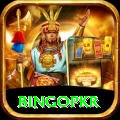 bingopkr Gaming Champion