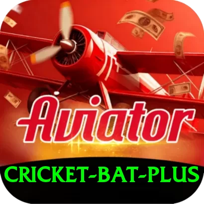 cricket bat Games Master - 2