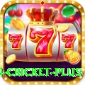 fastest ball in cricket Plus Slots