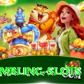 gambling slots Game VIP v5.5.6