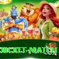 india cricket match Mega v2.4.6