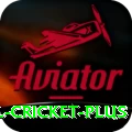international cricket Pakistan Royal v3.4.8