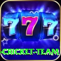 ireland cricket team Master New