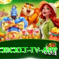 live cricket tv app Slots Plus v3.9.2