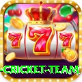 netherlands cricket team Bonus Max v4.0.8