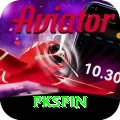 pkspin Pakistan Mega v1.9.0