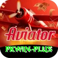 PKWin Official v1.2.5