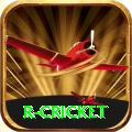 r cricket - Plus Earning App