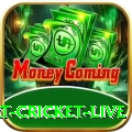 smart cricket live Games Legend