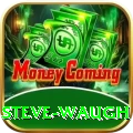 steve waugh Slots Max v2.0.9