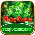test cricket Live Prime v5.2.6