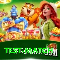 test match Gaming Elite v1.5.5
