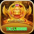 tiger888 Earn Plus v2.8.9