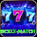 to day cricket match Max Gaming App
